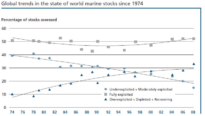 Marine stock trend
